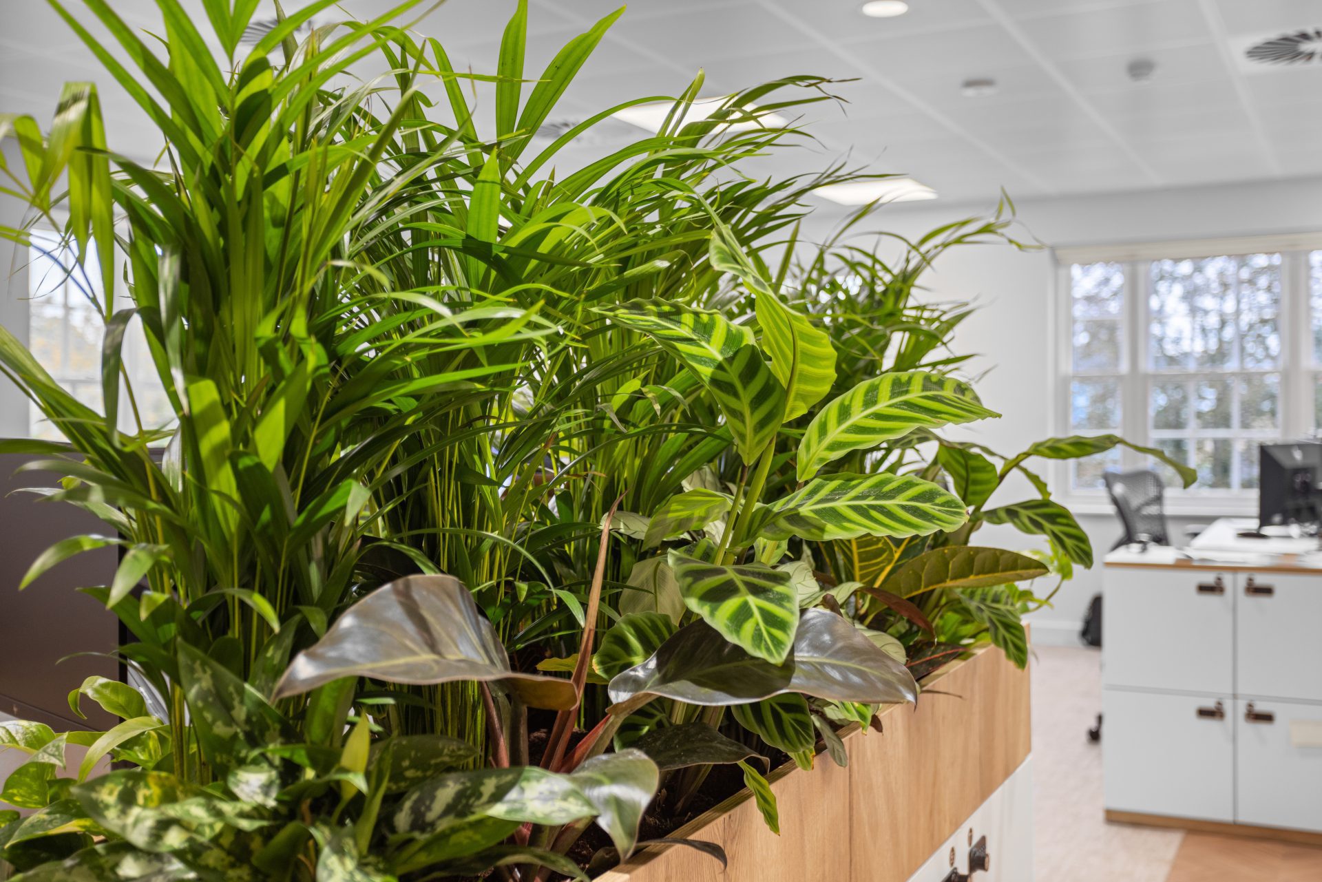 Sustainability and well-being