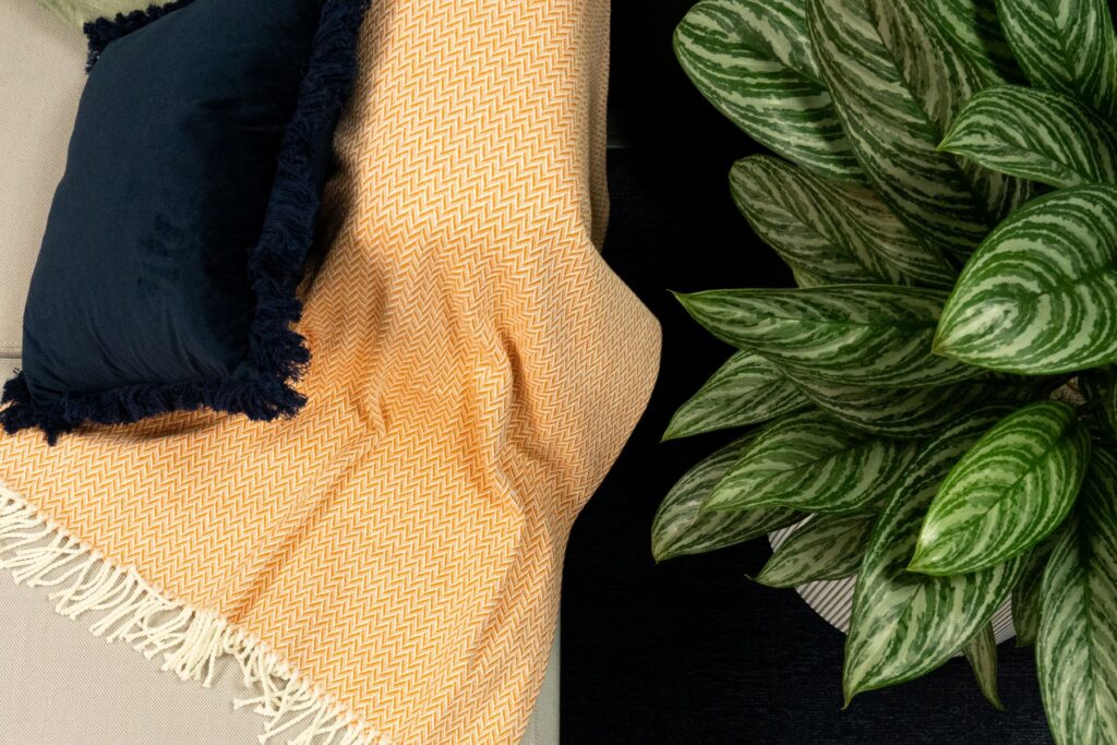 Interior Design Blue, orange and plant