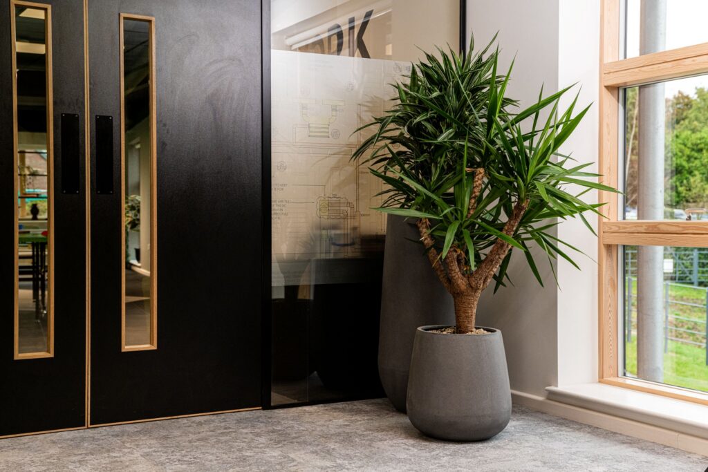 Greenmill office design plant near doors